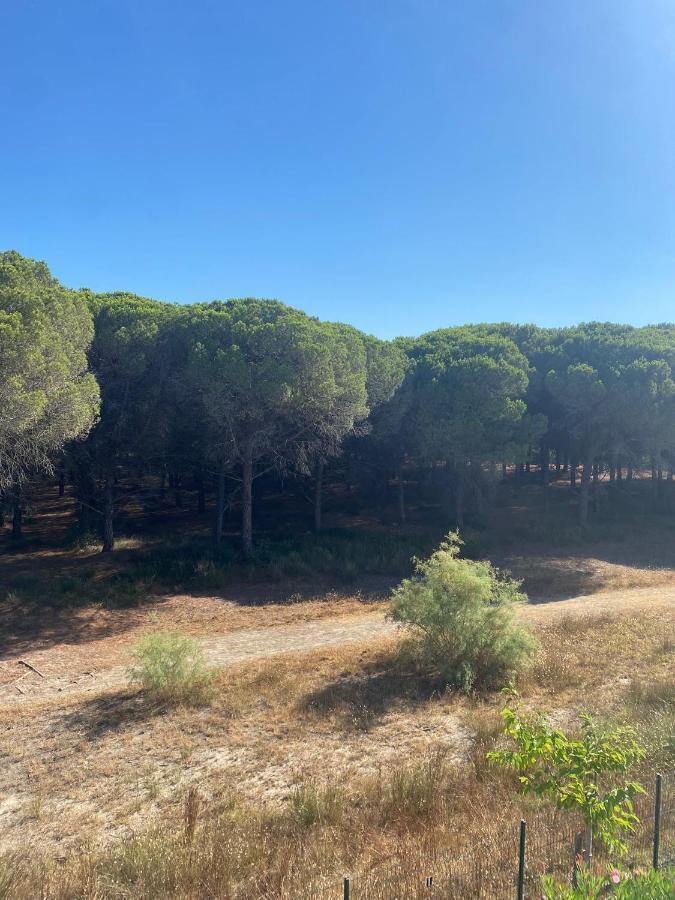 Studio Cabine Mer Et Pinede 26M2: 4Pers, Neuf, Cosy La Grande-Motte Buitenkant foto